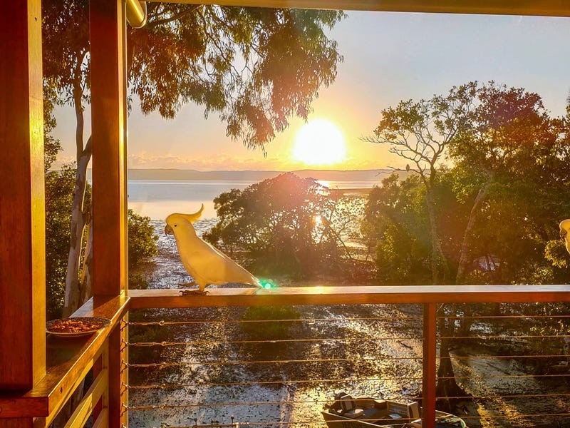 33 Calmwaters Cres, Macleay Island QLD 4184
