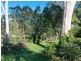 42 Carissa St, Russell Island QLD 4184
