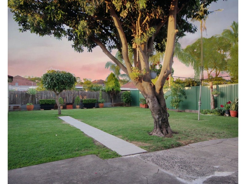 49 Collins Street, Belmore NSW 2192