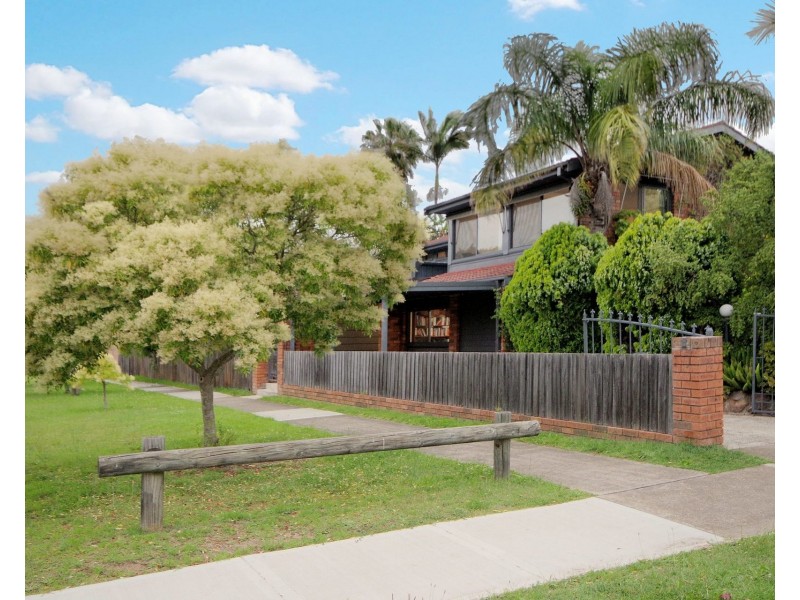 38 Collins Street, Belmore NSW 2192