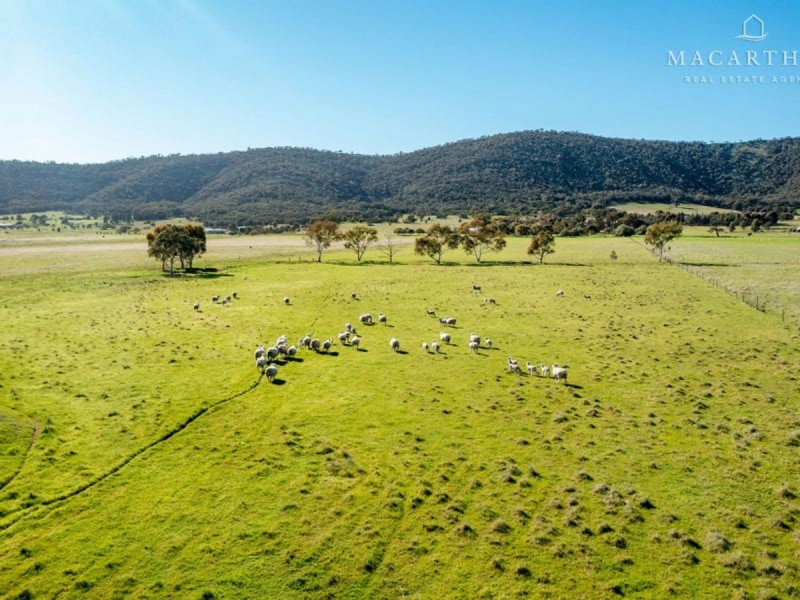 363 Vincents Road, The Rock NSW 2655