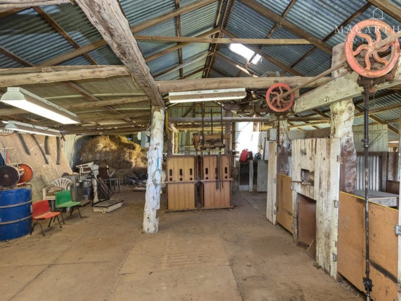 363 Vincents Road, The Rock NSW 2655