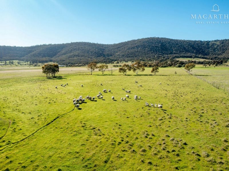 363 Vincents Road, The Rock NSW 2655