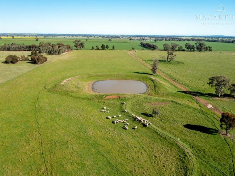 363 Vincents Road, The Rock NSW 2655