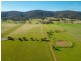 363 Vincents Road, The Rock NSW 2655