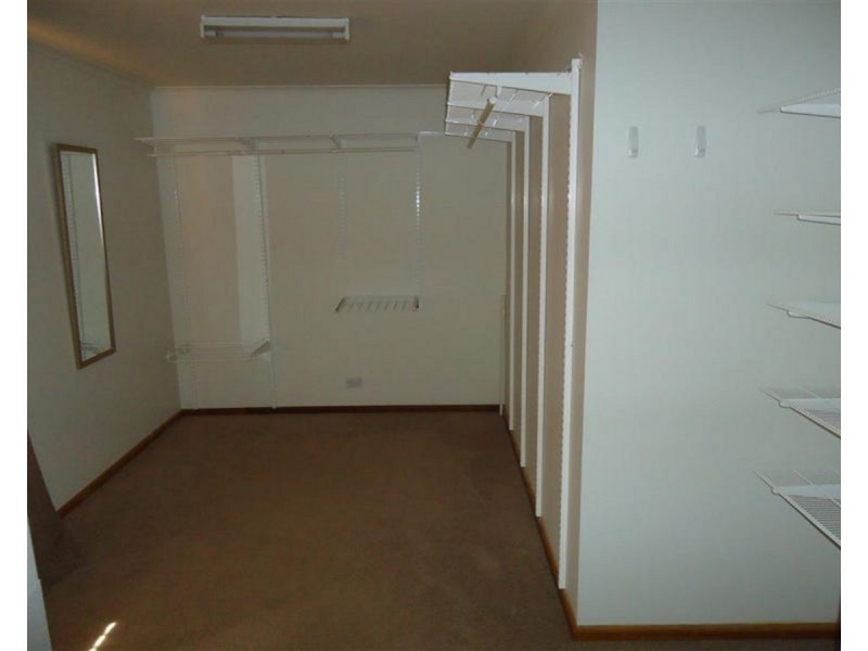 43 Alexander Street, Ashmont NSW 2650