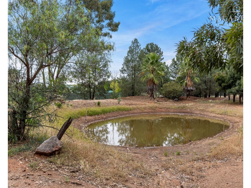 15 Quarry Road, Coolamon NSW 2701
