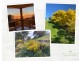 20 Stellway Close, Kooringal NSW 2650
