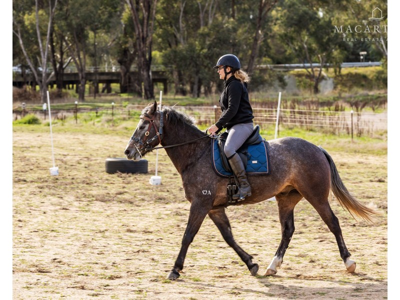 1409 Sturt Highway, Yarragundry NSW 2650