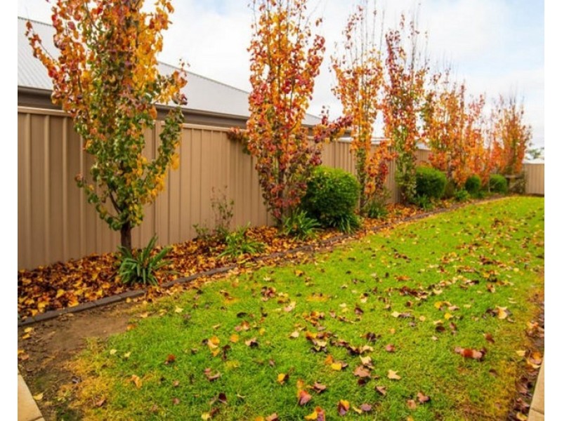 111 Strickland Drive, Boorooma NSW 2650