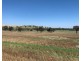 922 O’Briens Creek Road, Maxwell NSW 2650