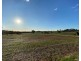 922 O’Briens Creek Road, Maxwell NSW 2650