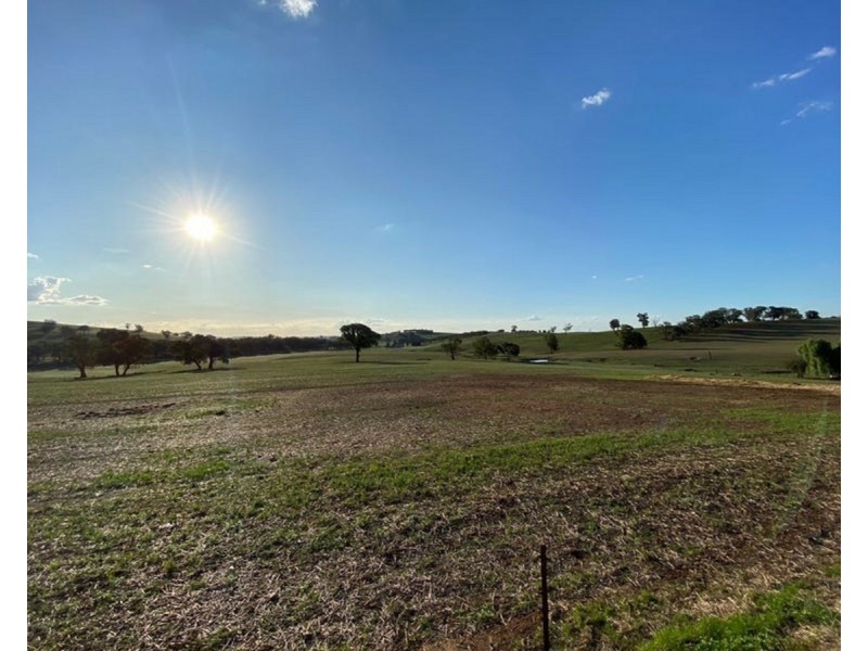 922 O’Briens Creek Road, Maxwell NSW 2650