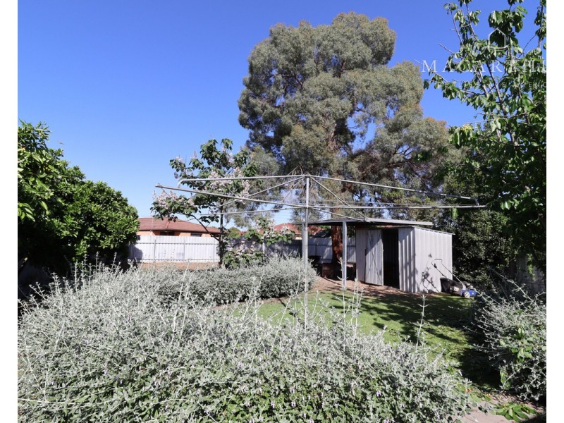 18 Evans Street, Wagga Wagga NSW 2650