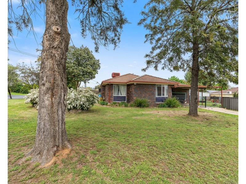 14 Crisp Drive, Ashmont NSW 2650