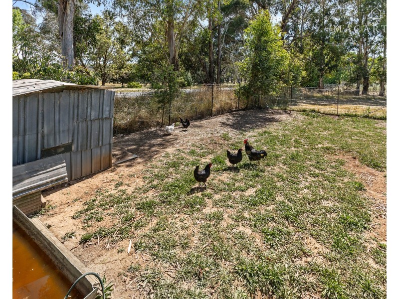 9 Coppabella Road, Tumbarumba NSW 2653