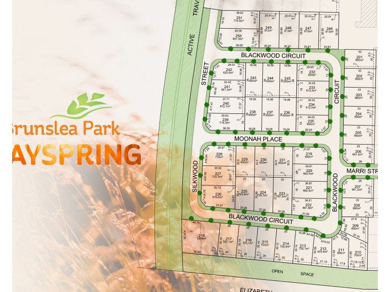 201 Blackwood Circuit, Forest Hill NSW 2651