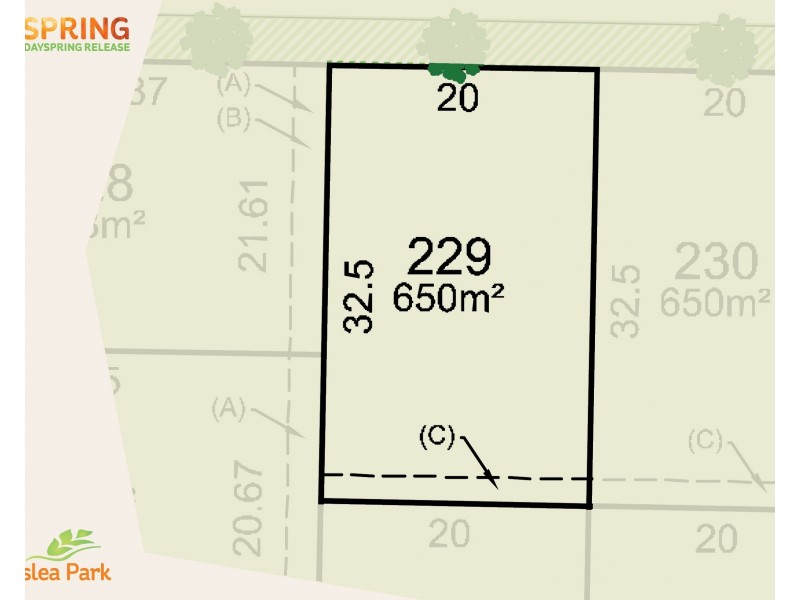 229 Moonah Street, Forest Hill NSW 2651