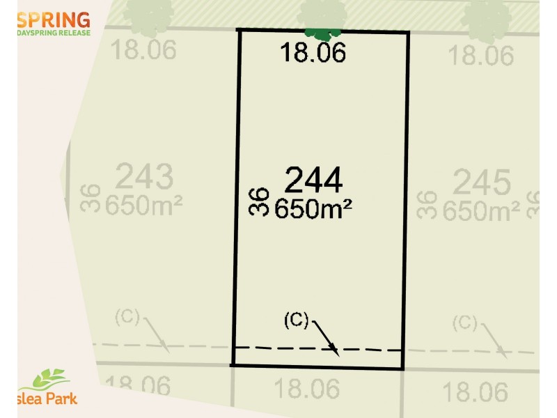 244 Blackwood Circuit, Forest Hill NSW 2651