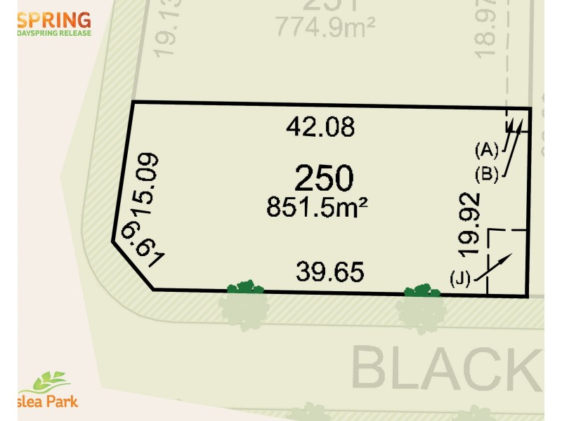 250 Cnr Blackwood Circuit & Silkwood Street, Forest Hill NSW 2651