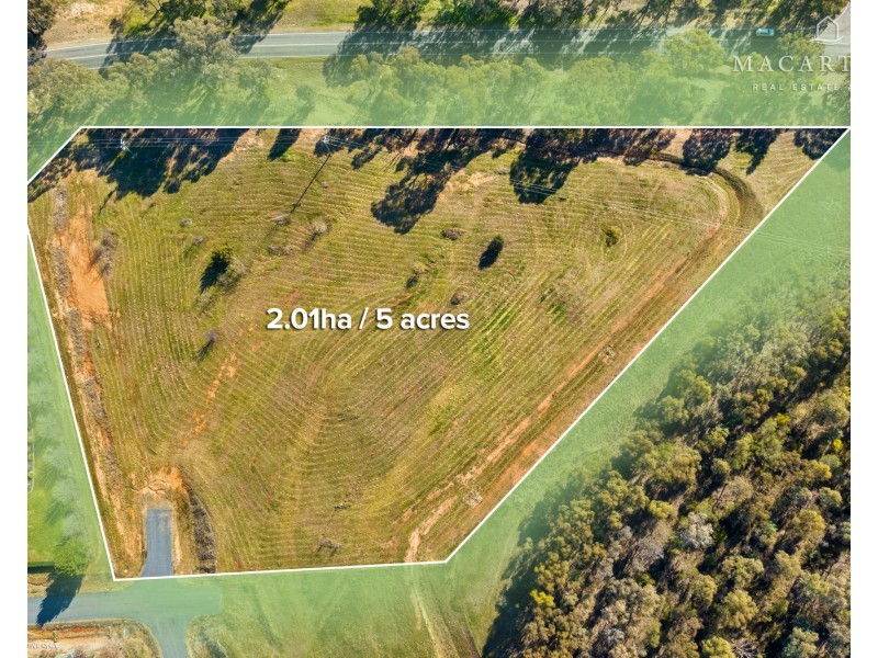 11 Genista Place, Springvale NSW 2650