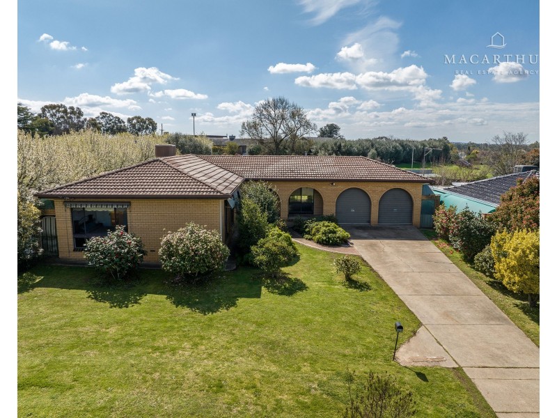 17 Morshead Street, Ashmont NSW 2650