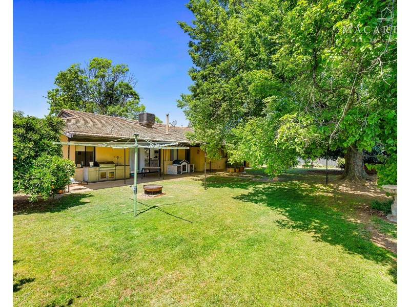 62 Graham Street, Lake Albert NSW 2650