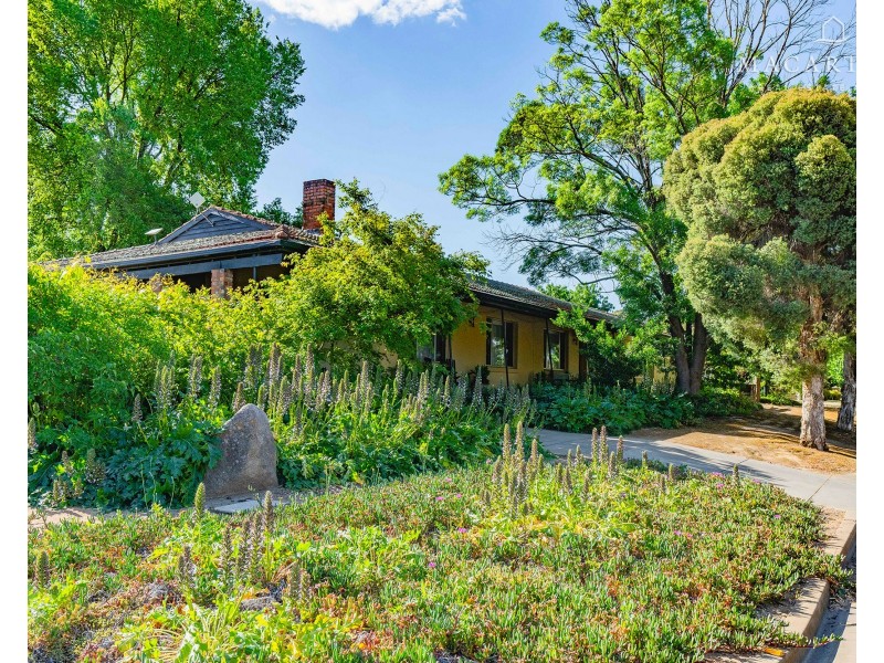 62 Graham Street, Lake Albert NSW 2650