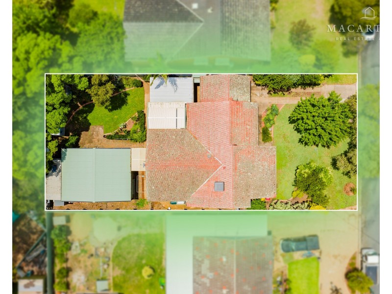 43 Alexander Street, Ashmont NSW 2650