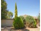 28 Sunshine Avenue, Turvey Park NSW 2650