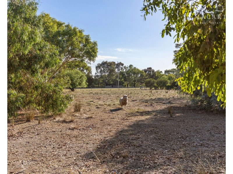 25 Dunns Road, Springvale NSW 2650