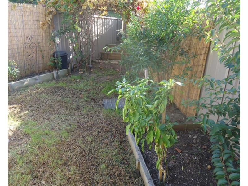 6/38 Kenneally Street, Kooringal NSW 2650