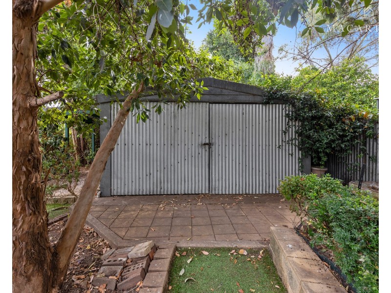 65 Fay Avenue, Kooringal NSW 2650