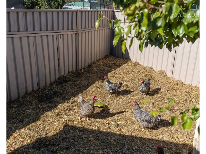 8 Schooner Place, Estella NSW 2650