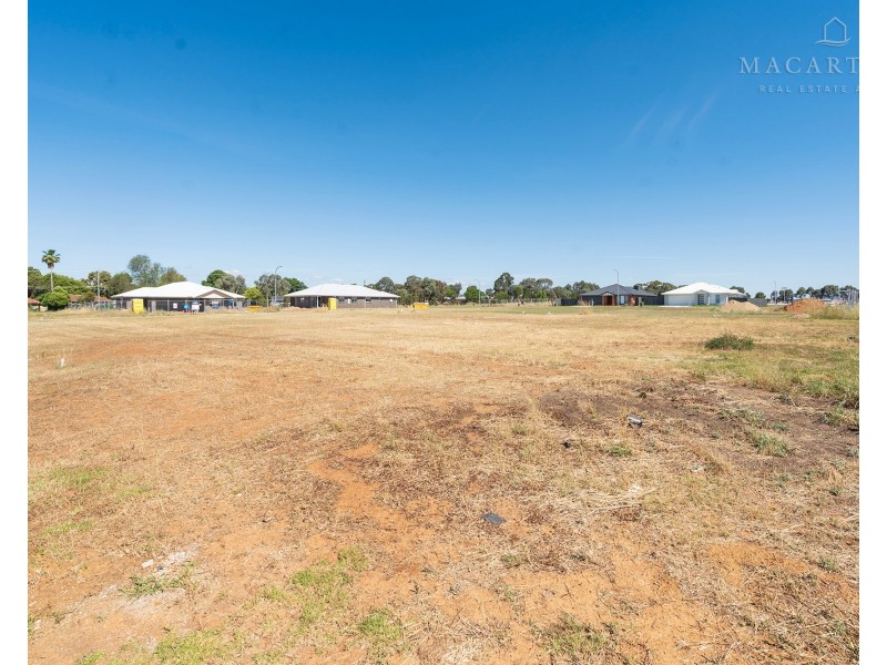 11 Flintwood Street, Forest Hill NSW 2651