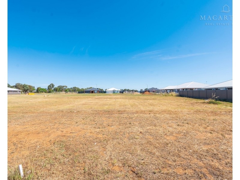 11 Flintwood Street, Forest Hill NSW 2651