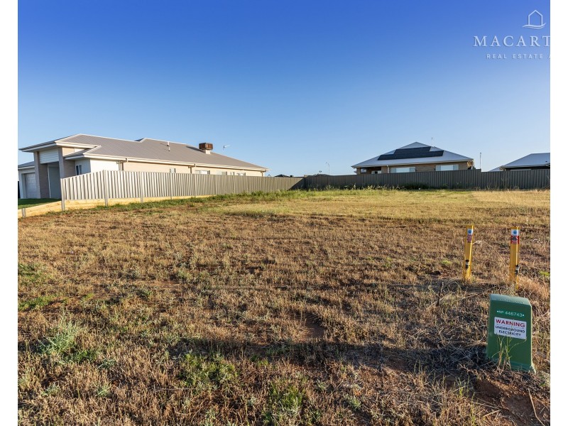 19 Flintwood Street, Forest Hill NSW 2651