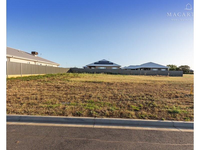 19 Flintwood Street, Forest Hill NSW 2651