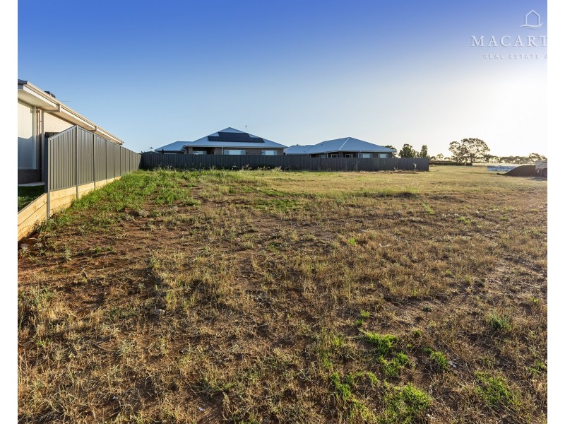 19 Flintwood Street, Forest Hill NSW 2651