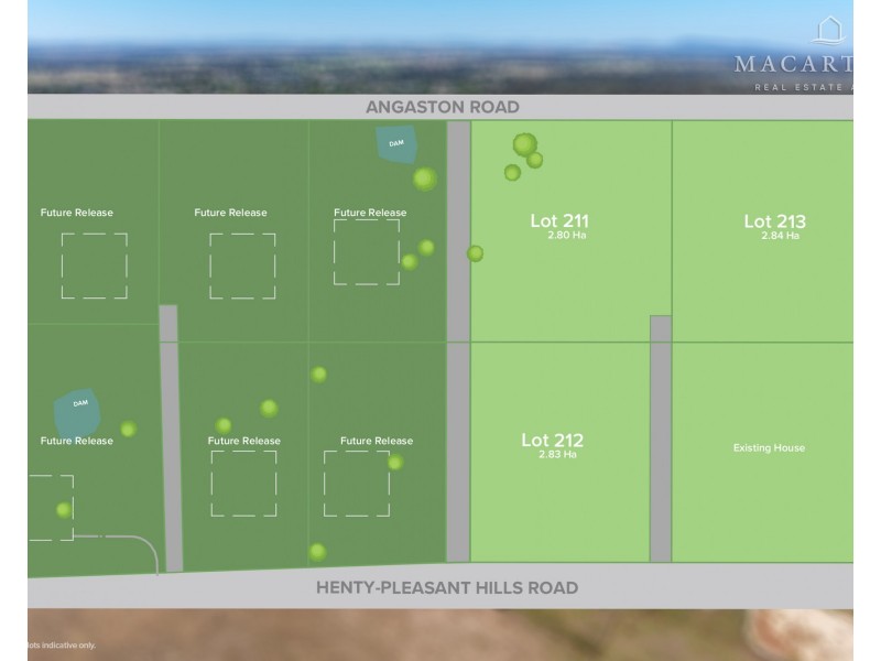 213/2311 Henty-Pleasant Hills Road, Henty NSW 2658