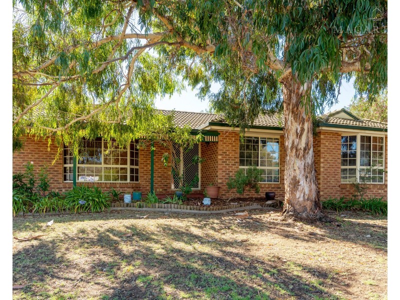 3 Canola Place, Estella NSW 2650