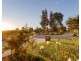 25 Barmedman Avenue, Gobbagombalin NSW 2650