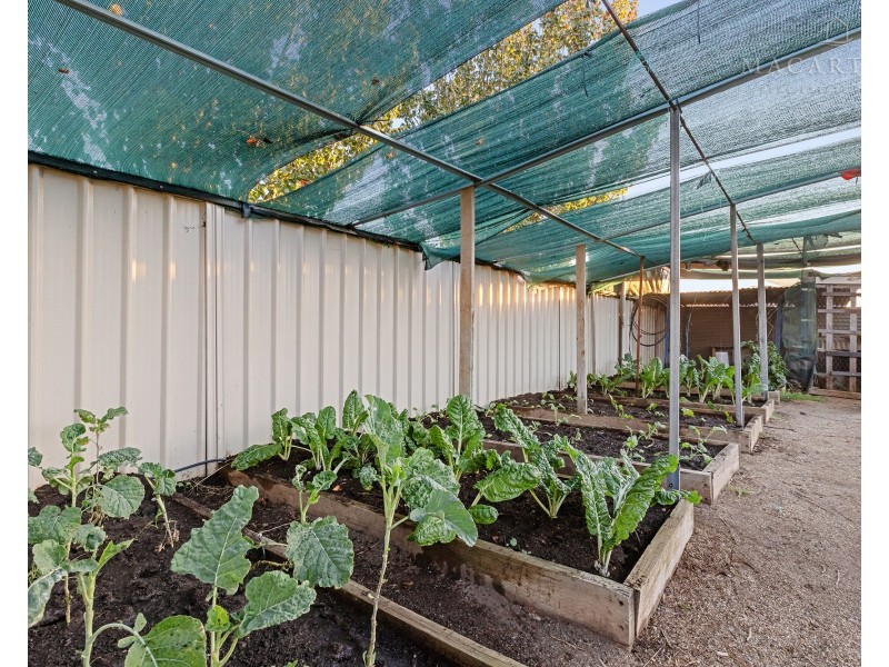 25 Barmedman Avenue, Gobbagombalin NSW 2650