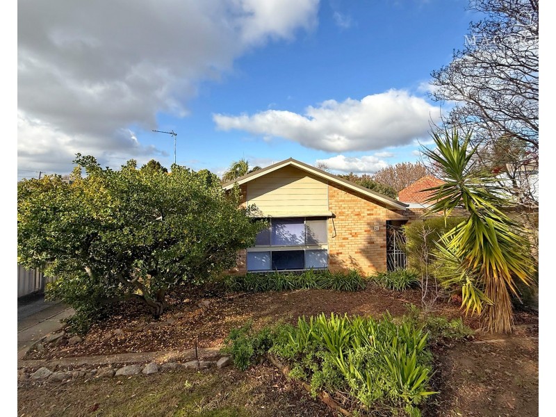 21 Wilks Avenue, Kooringal NSW 2650