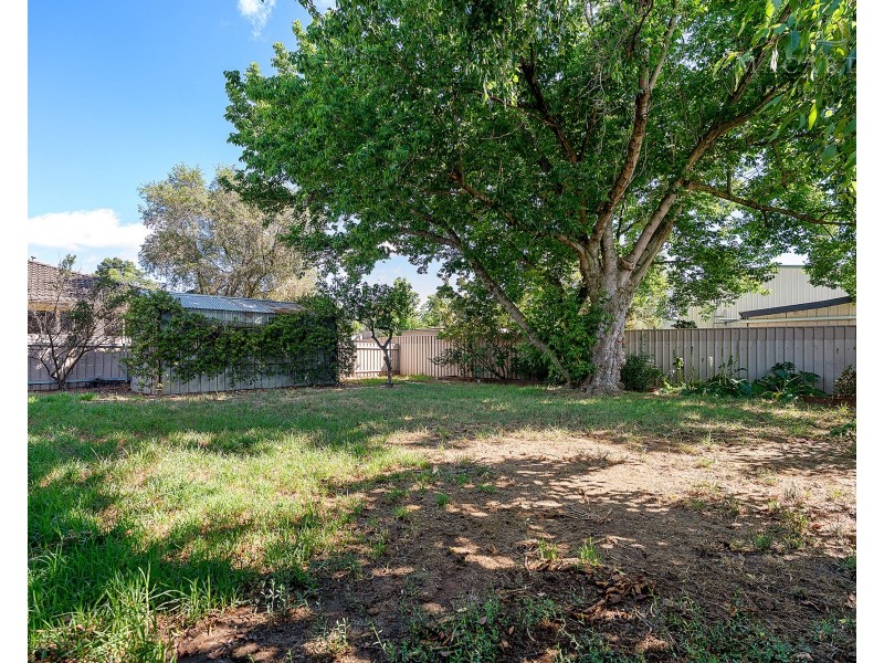 11 Nandina Avenue, Lake Albert NSW 2650