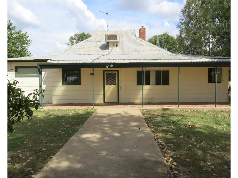 517 River Road, Alfredtown NSW 2650