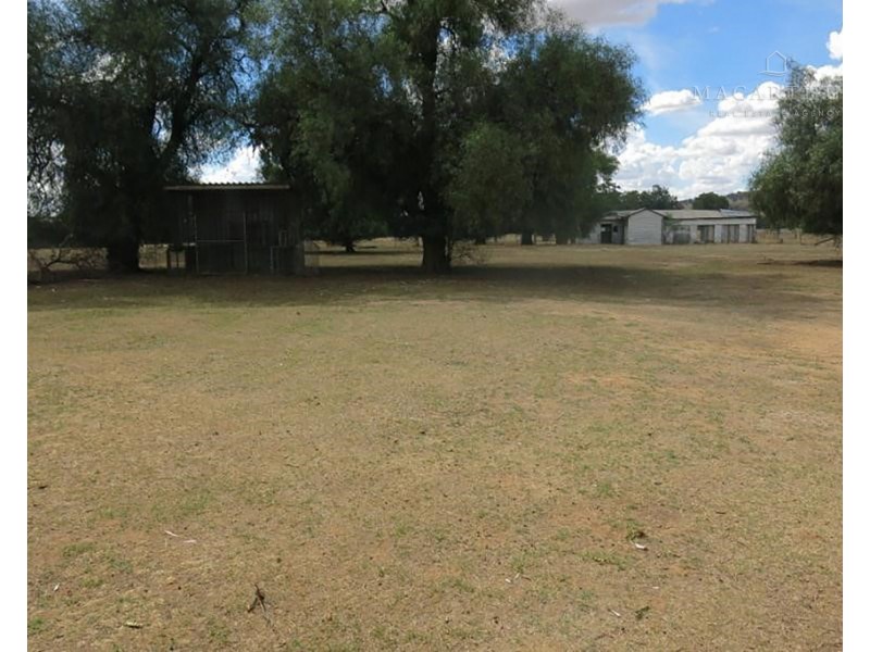 517 River Road, Alfredtown NSW 2650