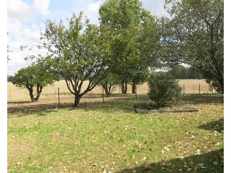 517 River Road, Alfredtown NSW 2650