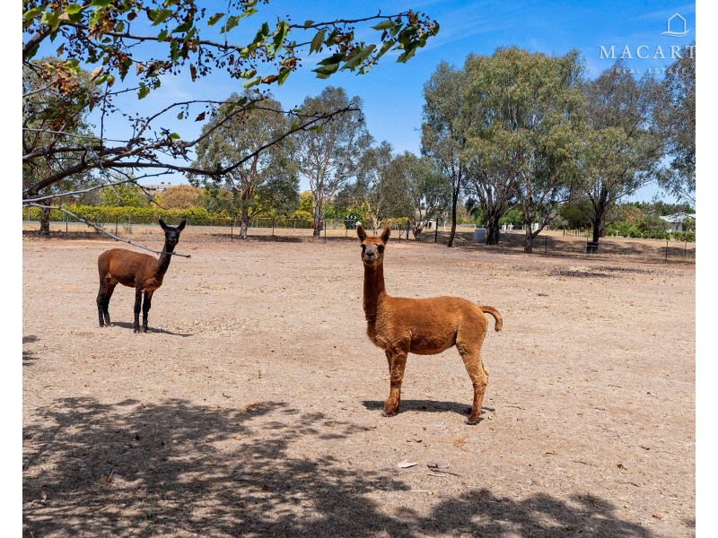 6 Peppermint Drive, Springvale NSW 2650