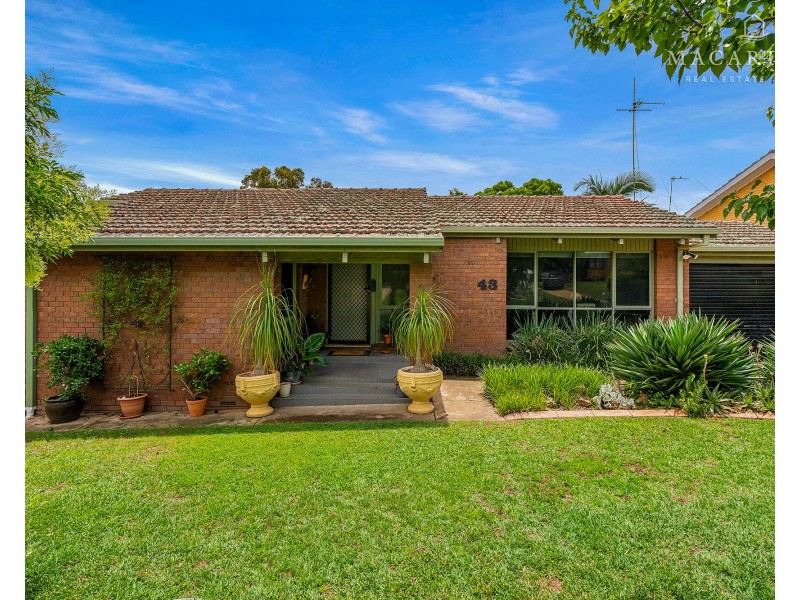 43 Alexander Street, Ashmont NSW 2650